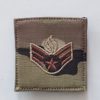 AMMO OCP Ranks/Patches - Image 3